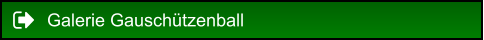 Galerie Gauschützenball